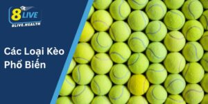 Các Loại Kèo Phổ Biến Trong Cá Cược Tennis